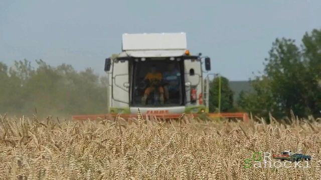 Żniwa 2014 - Pszenica - Claas Tucano 430, John Deere 6930P, JD6330P, JD5720 *Podkarpacie* GR Sanock смотреть онлайн