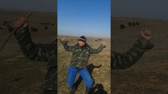 Танцор в Таразе смотреть онлайн