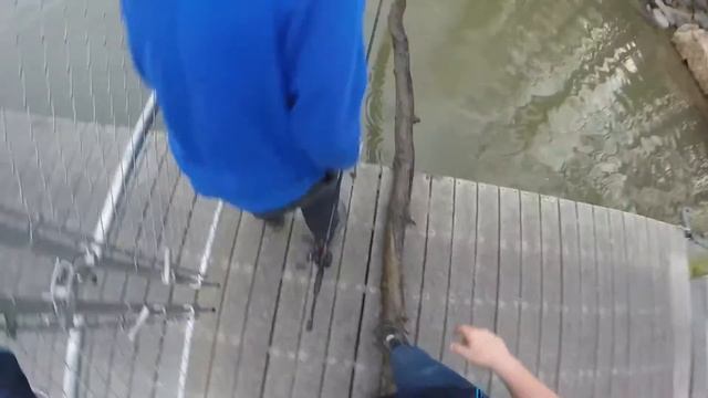 12 12 15 lake needwood смотреть онлайн