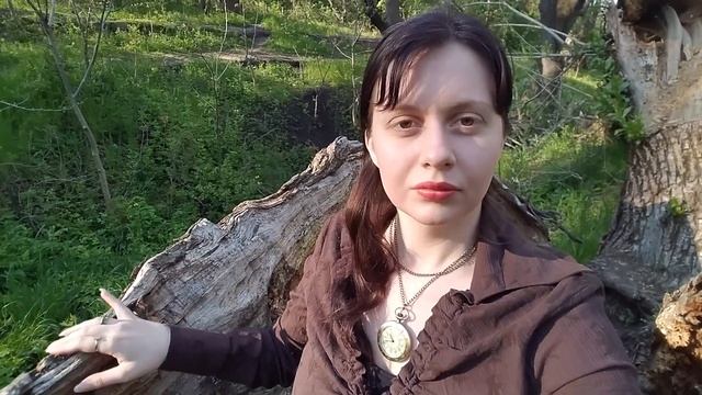 ASMR* Звуки Леса*🌿АСМР🍃Прогулка в Весеннем лесу🌳🌲 смотреть онлайн