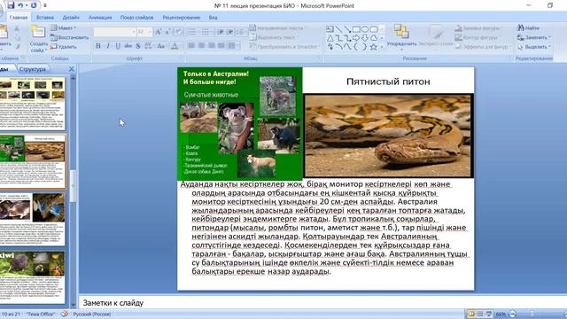 Кожабекова Биогеография 11 1 смотреть онлайн