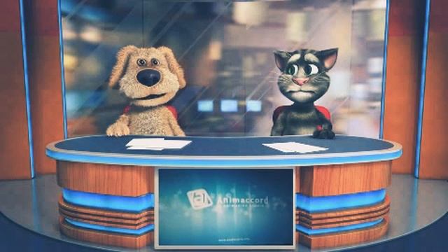 ANIMACCORD ANIMATION STUDIO смотреть онлайн