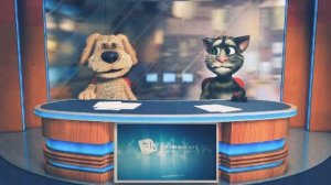 ANIMACCORD ANIMATION STUDIO