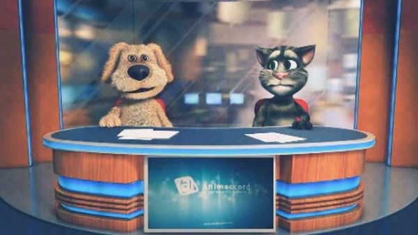 ANIMACCORD ANIMATION STUDIO