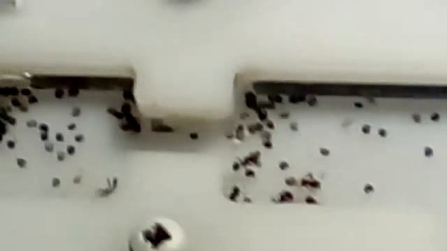 Мои новые жнецы смотреть онлайн