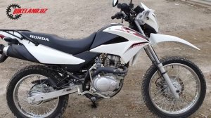 HONDA XR125L ga mini obzor