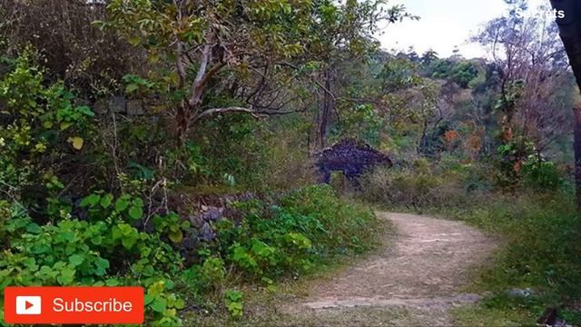 Most Haunted Bungalow at Bonacaud, Trivandrum | കേരളത്തിലെ പ്രേത കോട്ട അതും തിരുവനന്തപുരത്ത് | смотреть онлайн