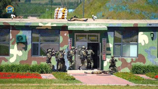 China's WZ-10 shooting flares in airshow смотреть онлайн