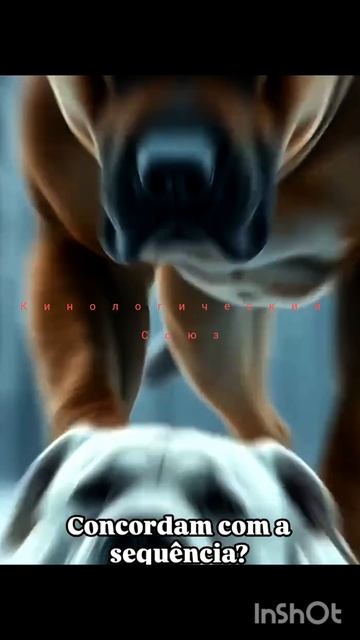 ужасы инквизиции