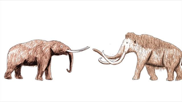 The Boaz Mastodon смотреть онлайн
