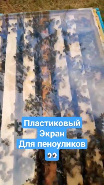 ❗Пластиковое стекло для пеноуликов #пчеловодство #пеноулик #пчелы #пасека смотреть онлайн