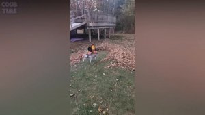 COUB TIME #53 | BEST MEMES  | FAILS | GIRLS | Лучшие Приколы 2024