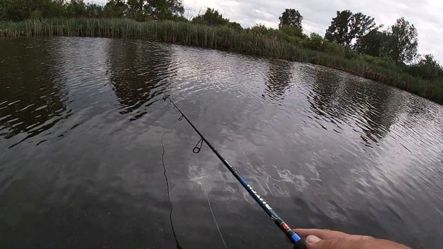 Ловля щуки. Попал на раздачу!!! Щука на воблеры. Рыбалка2020. Ох уж эти браконьеры... смотреть онлайн
