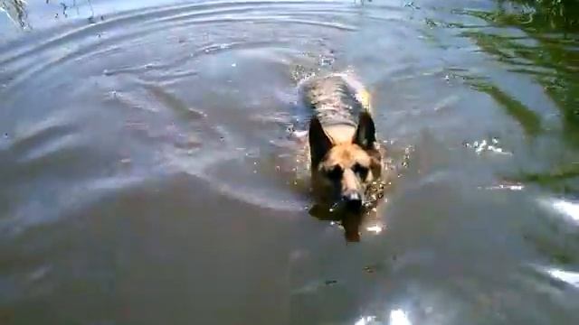 очень любит купаться смотреть онлайн