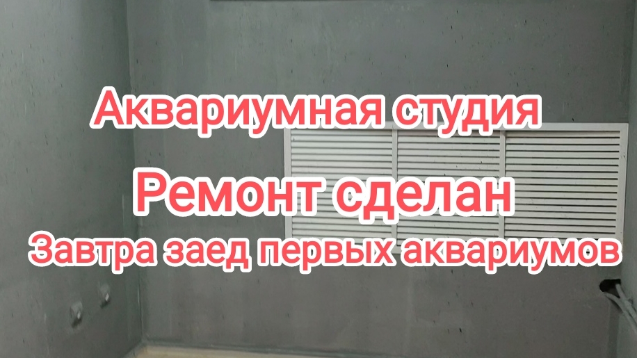 Ремонт для аквариумной студии! Часть 2 смотреть онлайн