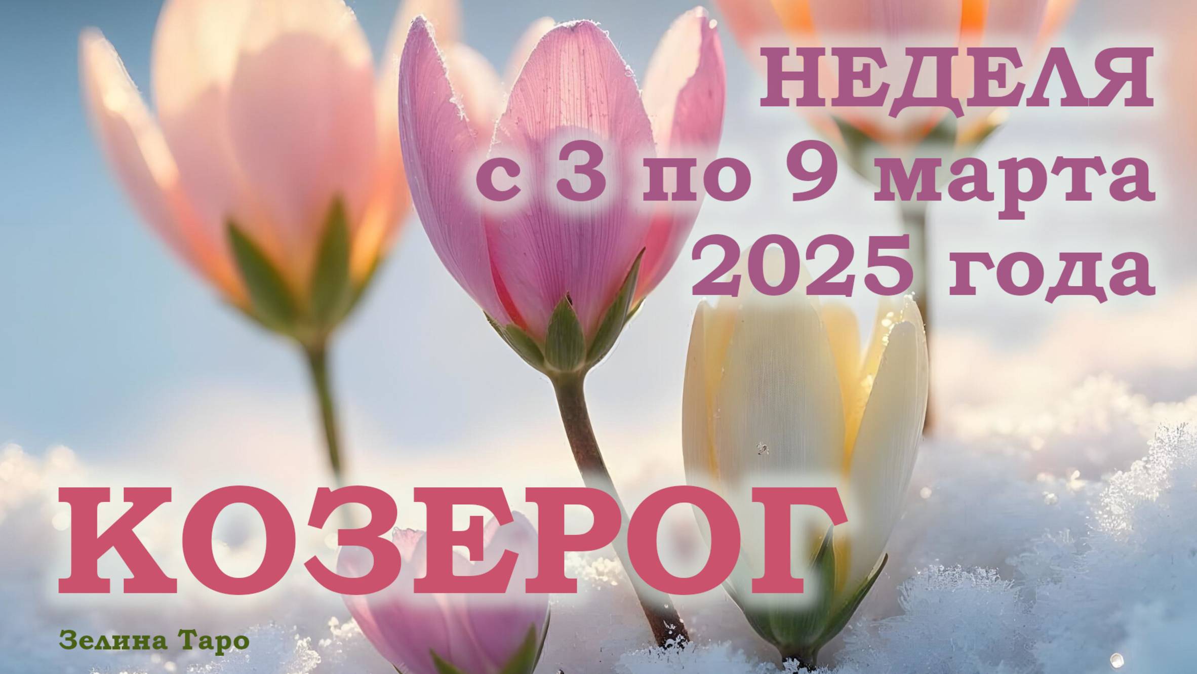 КОЗЕРОГ | ТАРО прогноз на неделю с 3 по 9 марта 2025 года
