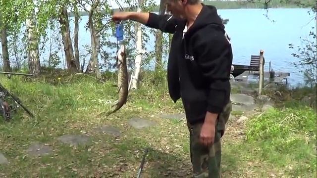 Финляндия 2013 май Рыбалка