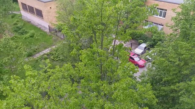 Одуванчики появляться не спешат смотреть онлайн