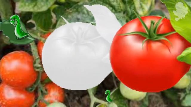 На весёлой ярмарке смотреть онлайн