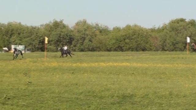 ИЖМА смотреть онлайн