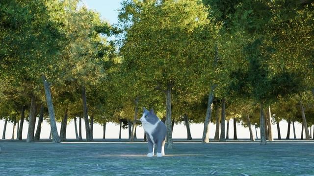 Cat Animation In Blender #cat #cats #catlover #catvideos #blender #blenderanimation #cg #3d