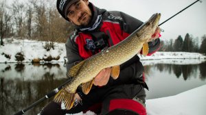 Весенние раздачи щуки уже начались!!! Щуки сошли с ума, поклевки в каждом месте! [Пора ловить щуку]