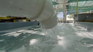 Большой Барьерный риф с Дэвидом Аттенборо 3 серия «Выживание» (документальный сериал, 2015)