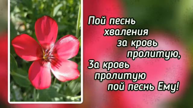 Зачем страдать, мой друг ( ) смотреть онлайн