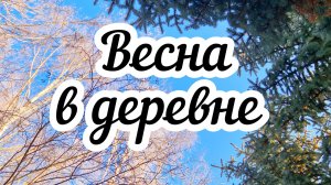 Весенний деревенский влог 🏠 Занимаюсь рассадой 🌱