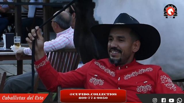 CUPIDO COLLECTIOS: LA HISTORIA DEL CABALLO TENNESSEE MAS QUERIDO DE RD. FERIA AGROPECUARIA RD 2022 смотреть онлайн