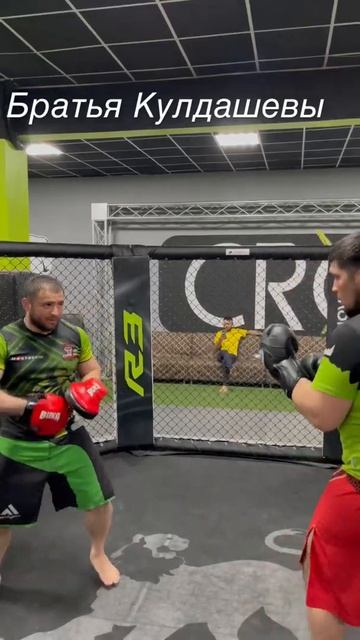 Максим Кулдашев 🦁Умиджон Кулдашев🐯 смотреть онлайн