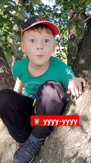 сова и филин - символ мудрости и знаний. а сегодня день знаний!🦉😁