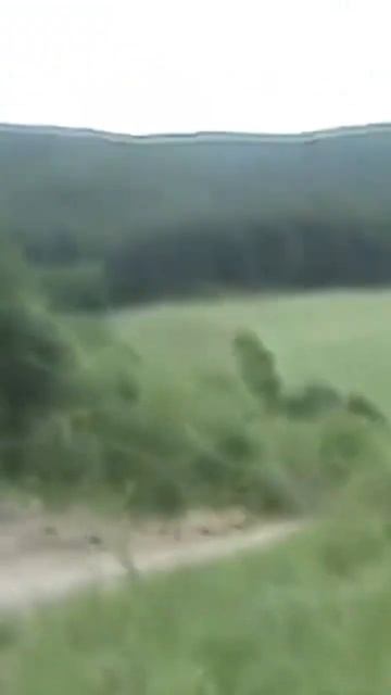 #kraz груженый под завязку с прицепом #truck смотреть онлайн