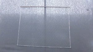 Обзор трехстенного рыболовного экрана.