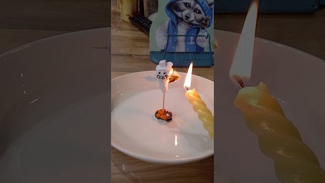 прогоняю зиму