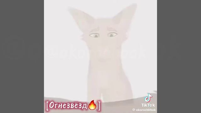 цитаты из котов-воителей смотреть онлайн