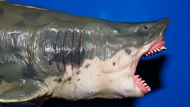 PNSO Megalodon