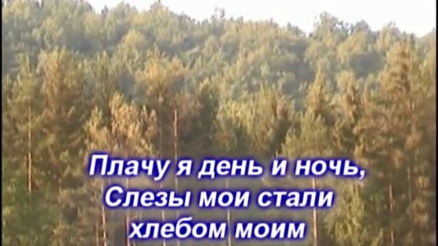 Как лань желает-караоке смотреть онлайн