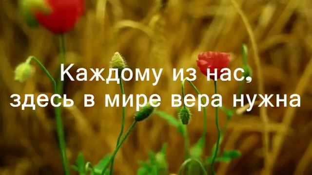 Вера нужна смотреть онлайн