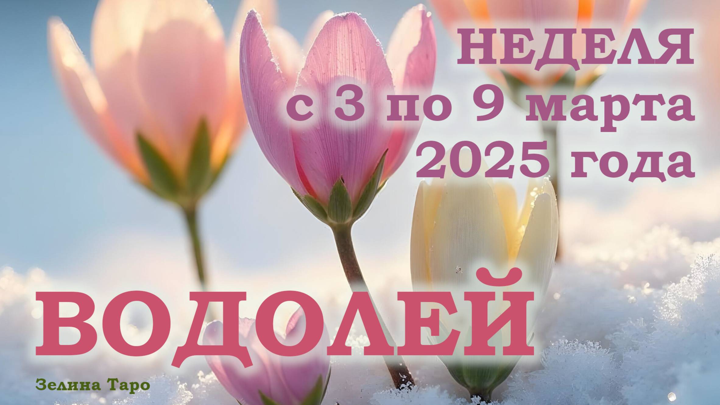 ВОДОЛЕЙ | ТАРО прогноз на неделю с 3 по 9 марта 2025 года