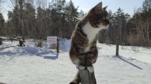 Ура! Весна!