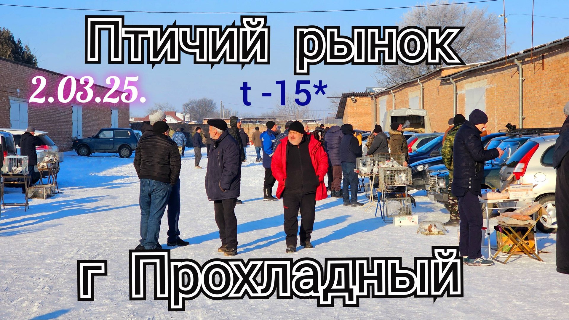 Голуби цены Птичий рынок г Прохладный смотреть онлайн