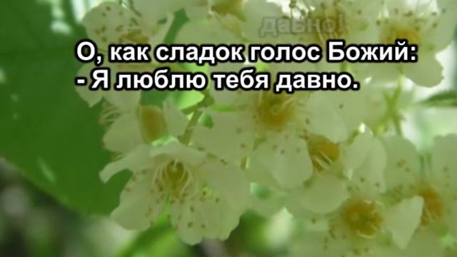 долго в сумраке скитался-караоке — копия смотреть онлайн