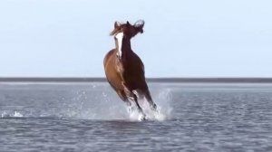 Hermes Voyage d'Hermès