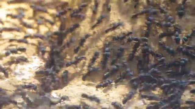 verschieden 008 смотреть онлайн