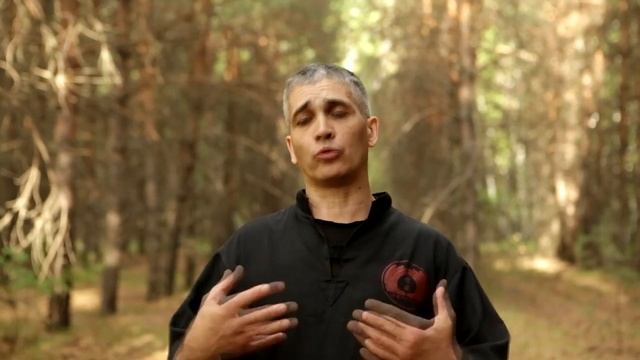 Классификация Шоу Дао, как школы - Это ушу смотреть онлайн