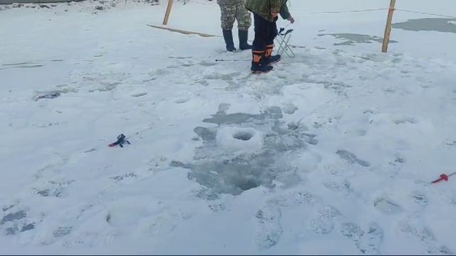 WhatsApp Video 2025-03-02 at 09.48.58 смотреть онлайн