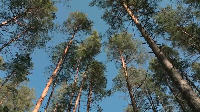 Петяярви смотреть онлайн