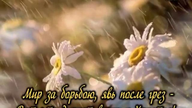 День после ночи смотреть онлайн