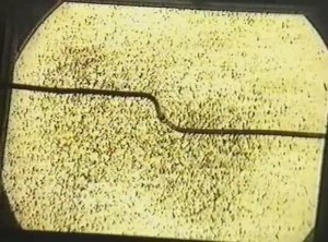 Физика. Опыты. Электричество и магнетизм. Визуализация силовых линий магнитного поля. Линейный ток